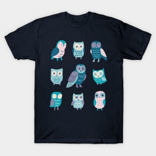 Autumn Owls - teal, aqua and cotton candy pink by Cecca Designs T-Shirt